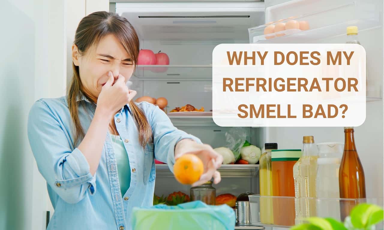 Why Does My Refrigerator Smell Bad? (Top Reasons, Fixes)