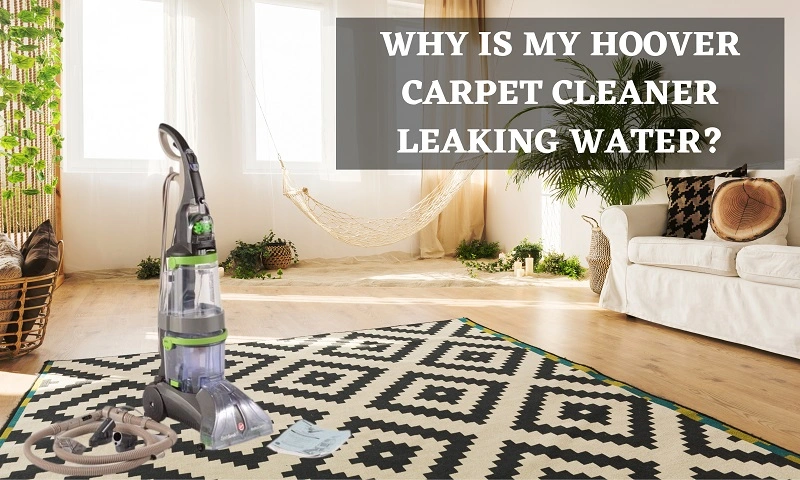 Why is My Hoover Carpet Cleaner Leaking Water (Reasons and Fixes)