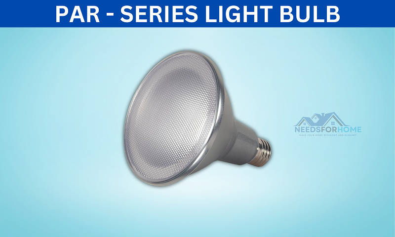 PAR Series Light Bulb