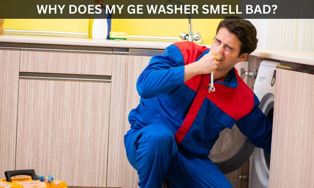 Why Does My GE Washer Smell Bad - Reasons and Tips to Remove Bad Odor